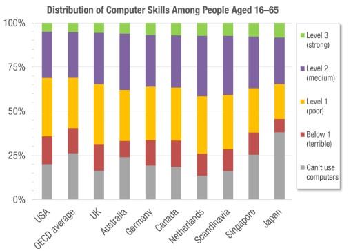 Distribution of Computer Skills.jpg